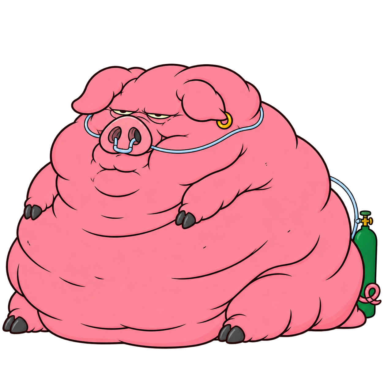 OZEMPIG at maximum launch weight with an oxygen cannula